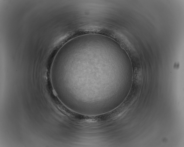 X0000097610692200802291302
