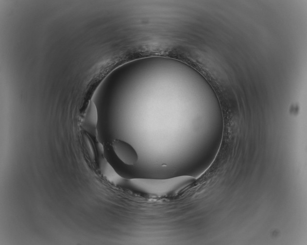 X0000097610693200802291302
