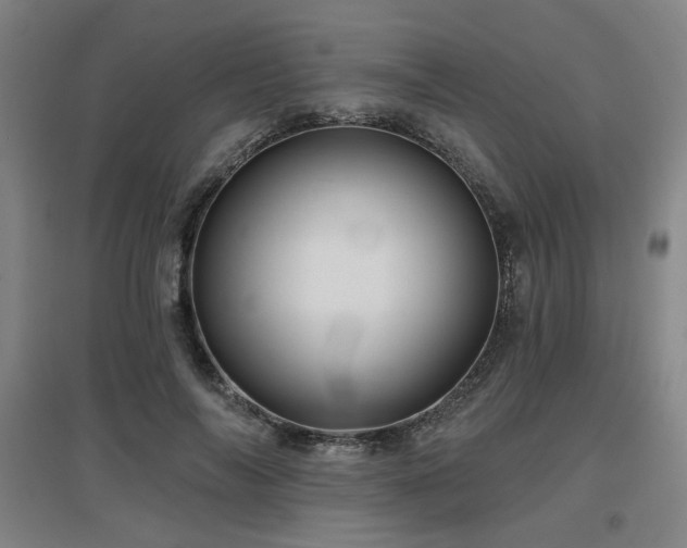 X0000097610694200802291302