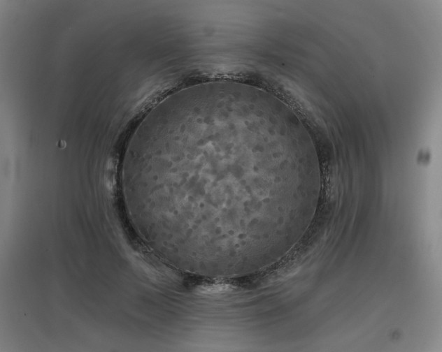 X0000097610695200802291302