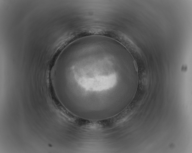 X0000097610696200802291302