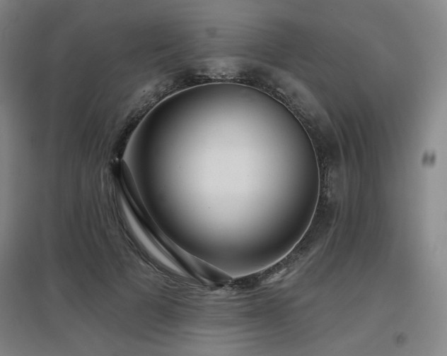 X0000097610697200802291302