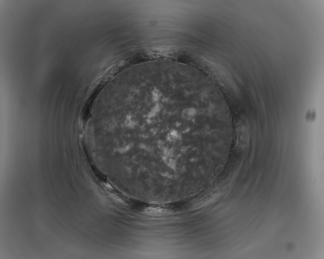 X0000097610699200802291302