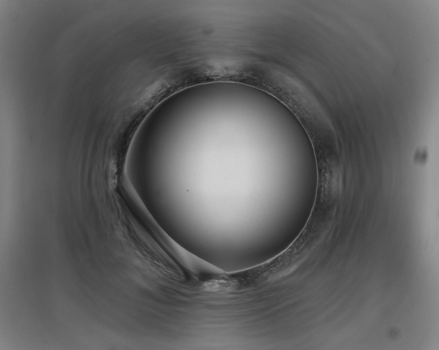 X0000097610700200802291302