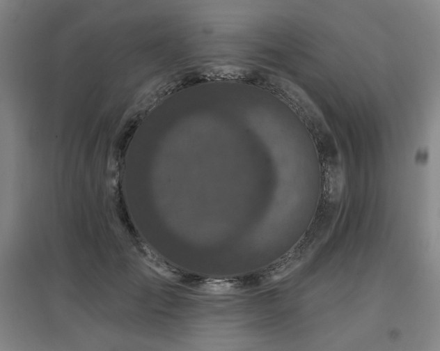 X0000097610701200802291302