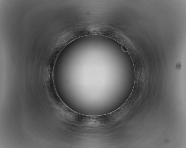 X0000097610702200802291302