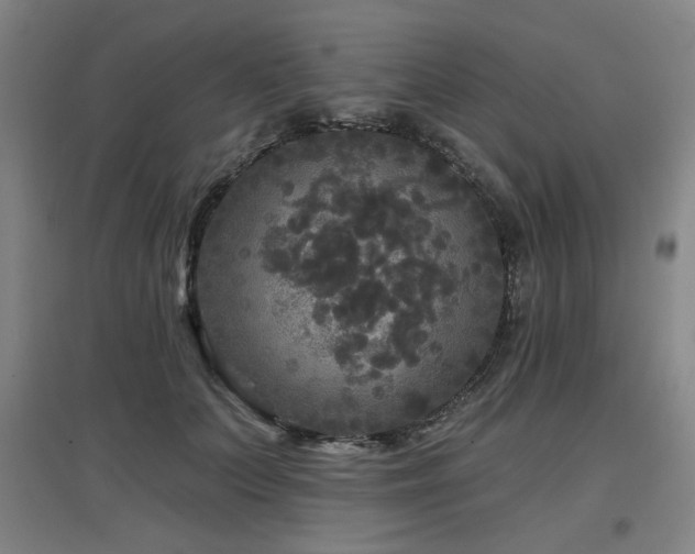 X0000097610703200802291302