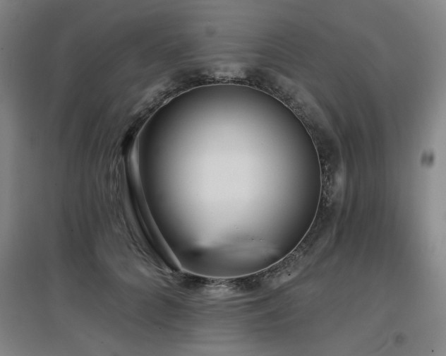X0000097610704200802291302