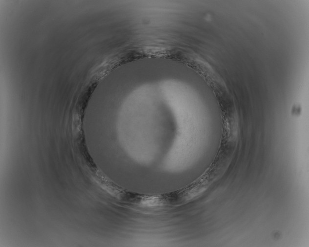 X0000097610705200802291302