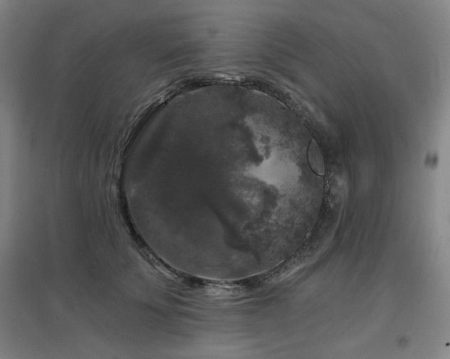 X0000097610707200802291302