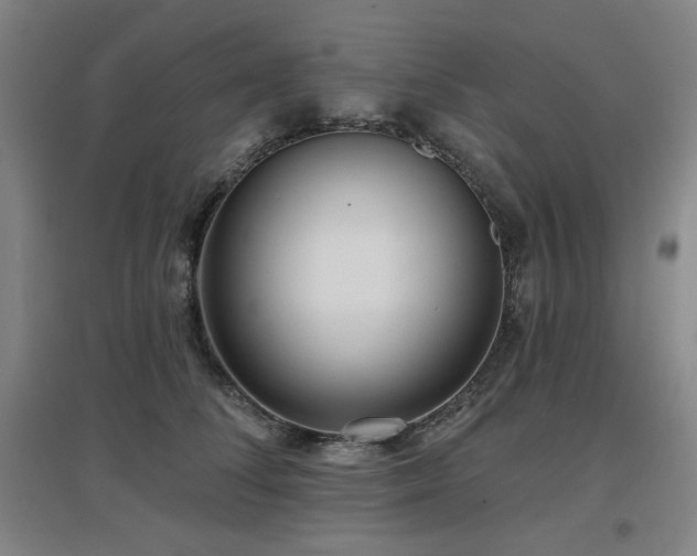 X0000097610708200802291302