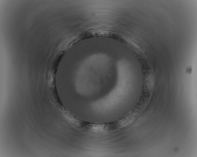 X0000097610709200802291302
