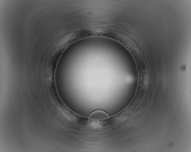 X0000097610710200802291302