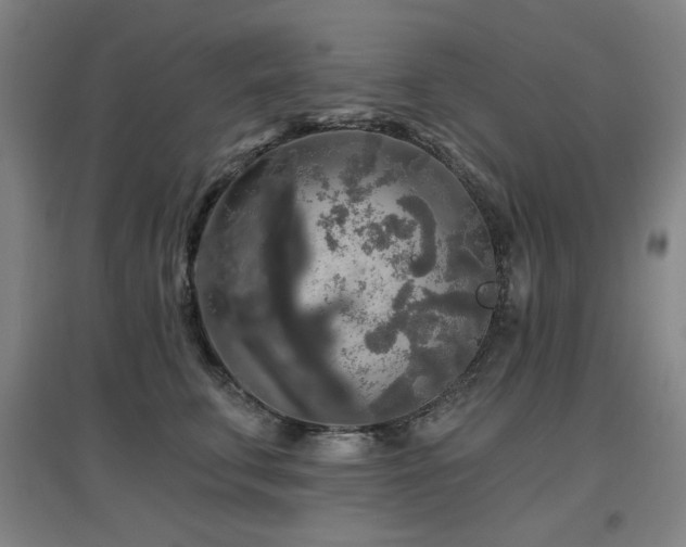 X0000097610711200802291302