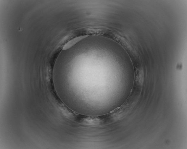 X0000097610712200802291302