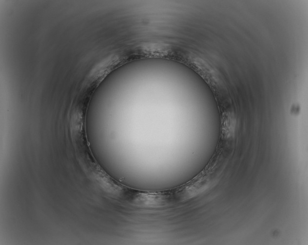 X0000097610713200802291302