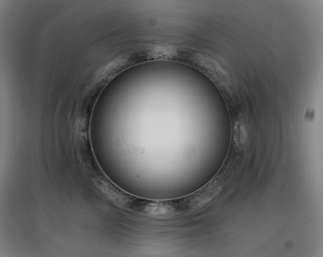 X0000097610714200802291302
