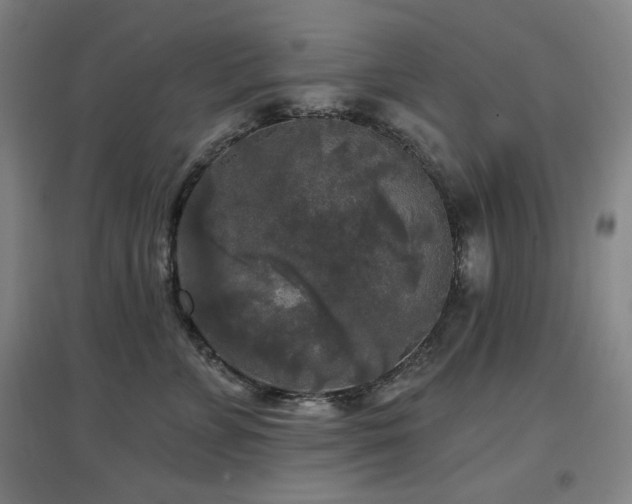 X0000097610715200802291302