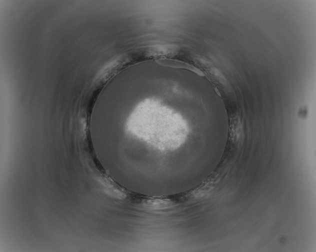X0000097610716200802291302