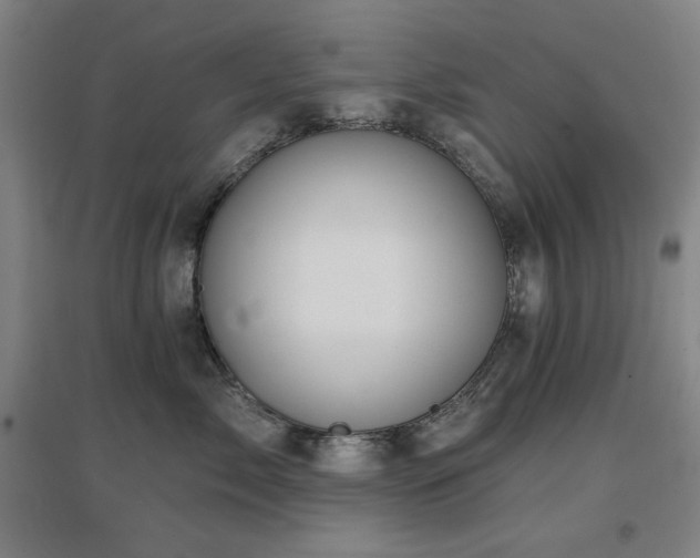 X0000097610717200802291302