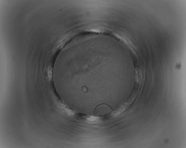 X0000097610718200802291302