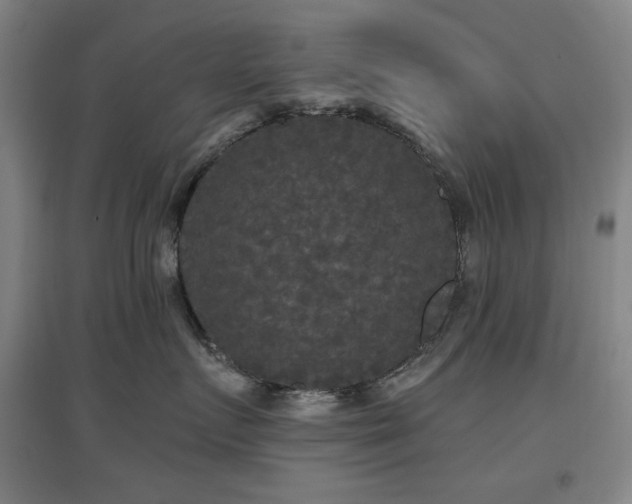 X0000097610719200802291302