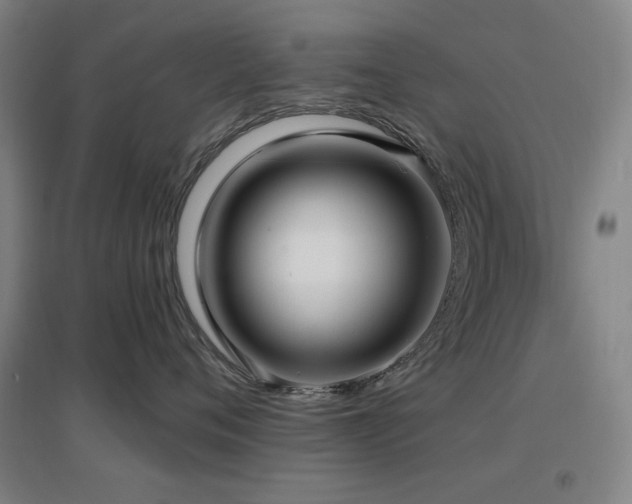X0000097610720200802291302