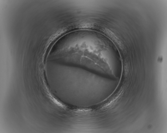 X0000097610721200802291301