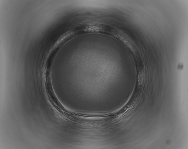 X0000097610722200802291301