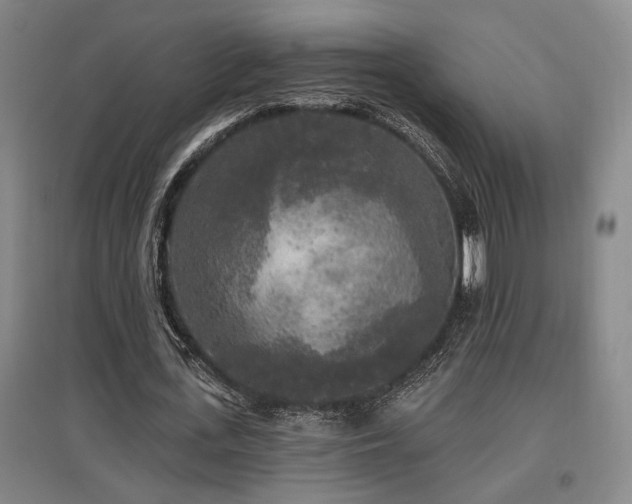 X0000097610723200802291301