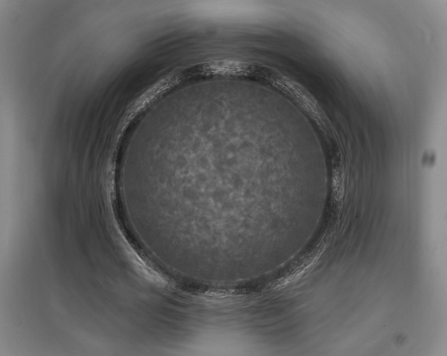 X0000097610725200802291301