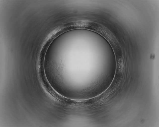 X0000097610726200802291301