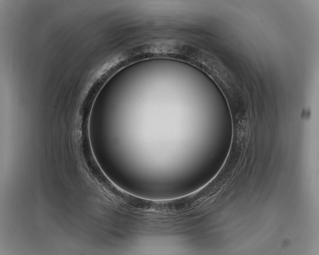 X0000097610727200802291301