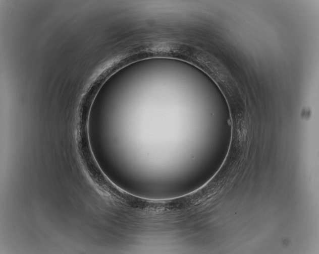 X0000097610728200802291301