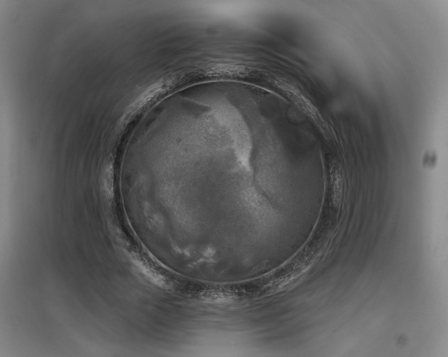 X0000097610729200802291301