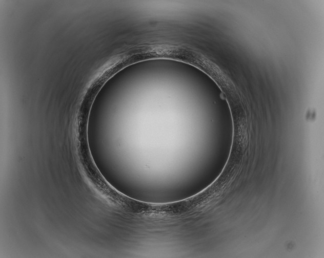 X0000097610730200802291301