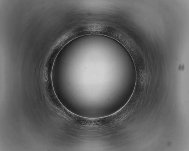 X0000097610731200802291301