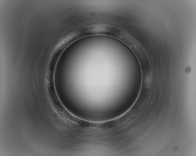 X0000097610732200802291301