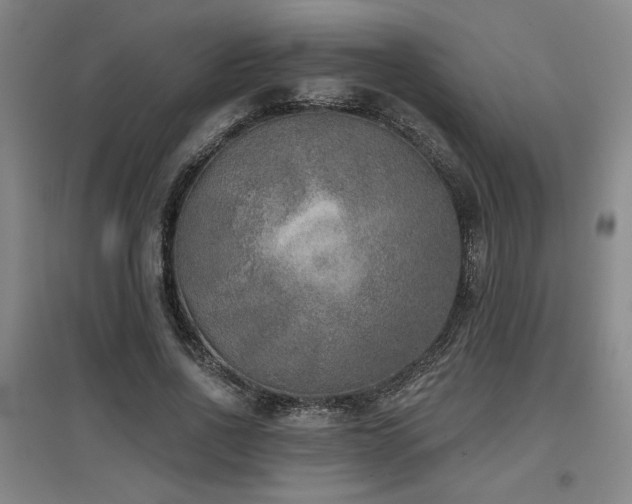 X0000097610734200802291301