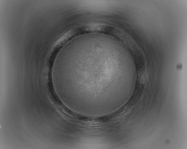 X0000097610735200802291301