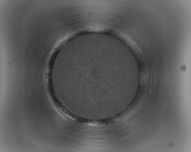 X0000097610736200802291301