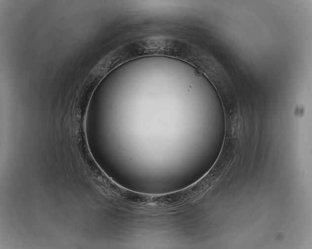 X0000097610737200802291301