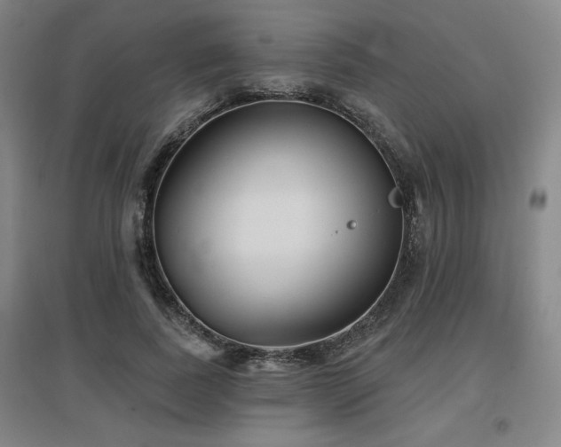 X0000097610739200802291301
