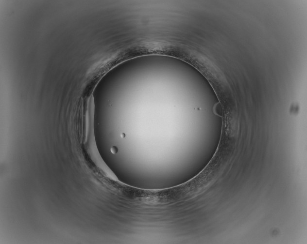 X0000097610740200802291301