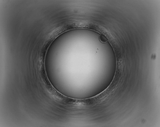 X0000097610741200802291301