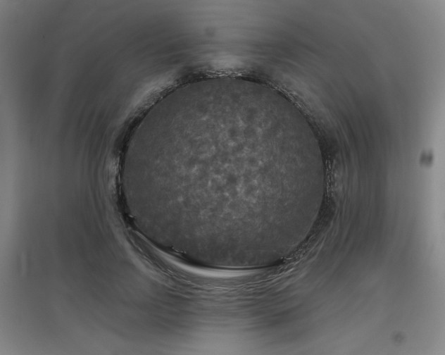 X0000097610742200802291301