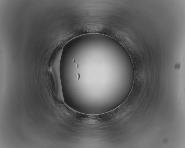 X0000097610743200802291301