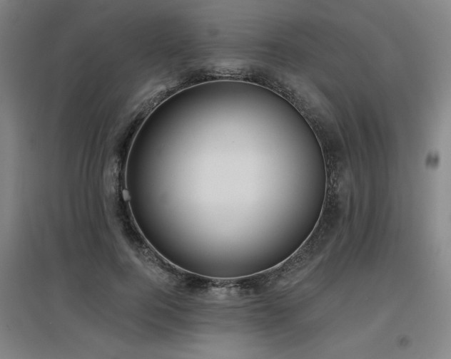 X0000097610744200802291302