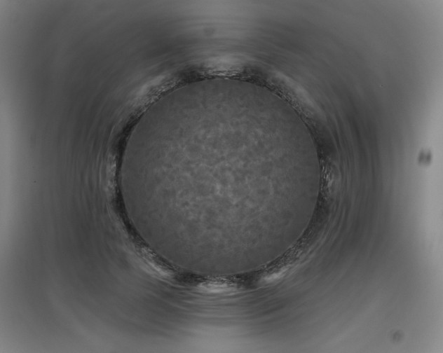 X0000097610745200802291302