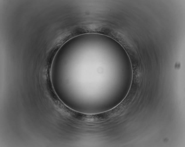 X0000097610746200802291302